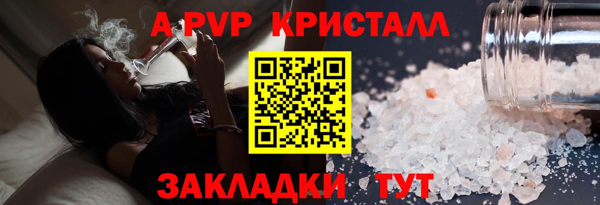 Альфа ПВП СК Курчатов