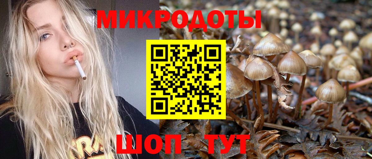 Галлюциногенные грибы мицелий Курчатов