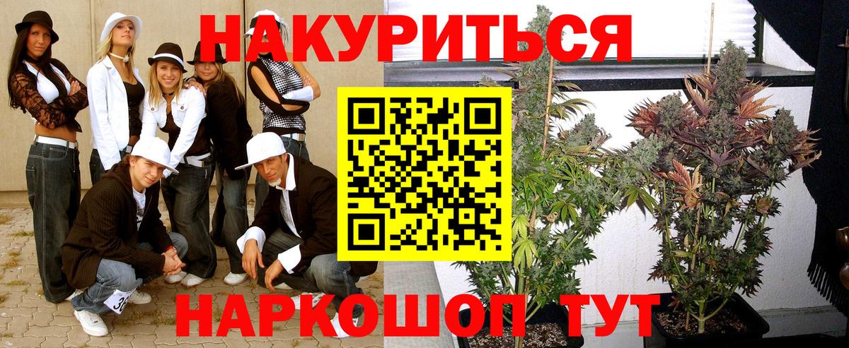 МАРИХУАНА ГИДРОПОН Курчатов